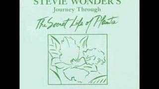 Come Back As A Flower - Stevie Wonder