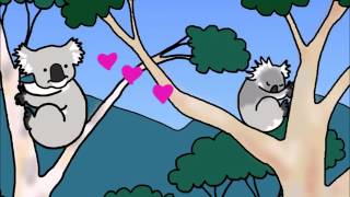 All about Koala Love