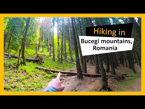 Relaxing 30 minute hiking in the Bucegi mountains region