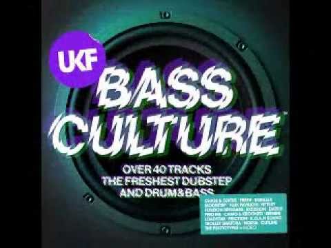 Flux Pavillion- I Cant Stop