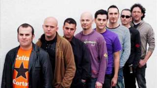 Celtas Cortos tranquilo majete Ies Sentmenat