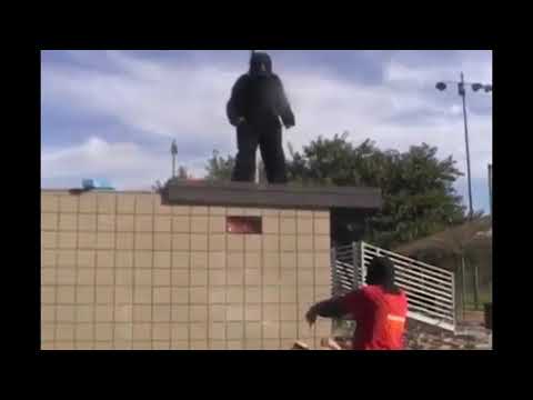 Gorilla man jumps off roof and misses table (Mice on Venus)