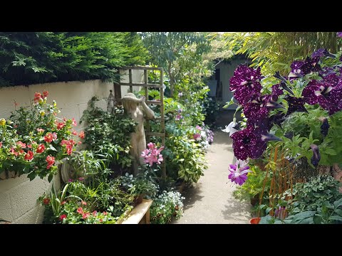 A tour of Justin's Secret Garden. A small space made beautiful