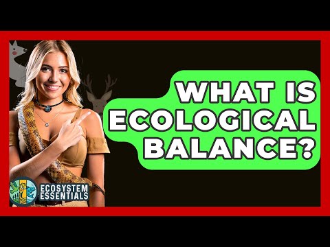 What Is Ecological Balance? - Ecosystem Essentials