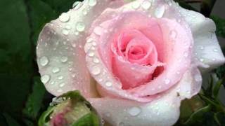 MANU DIBANGO - SOUL MAKOSSA 2.0 (Official)