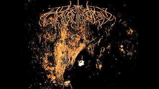 Wolves In The Throne Room - Cleansing