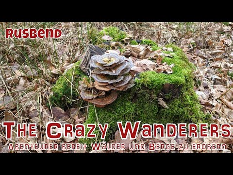 Rusbend - Eine Altherrenwanderung im Schaumburger Wald