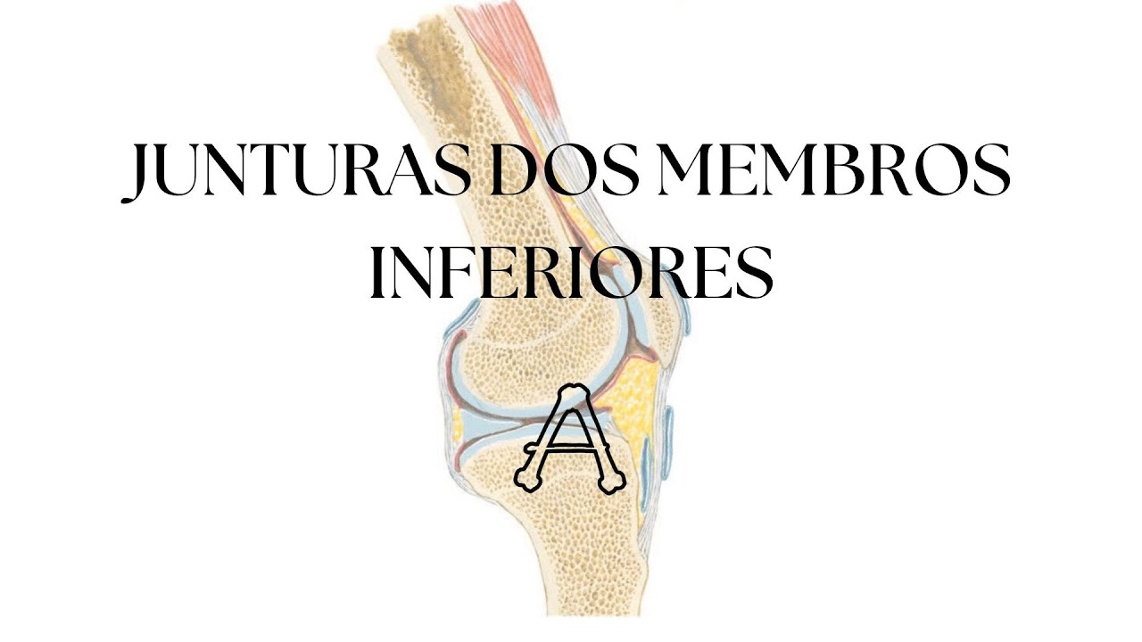 JUNTURAS DOS MEMBROS INFERIORES - Anatomia (Teórica)