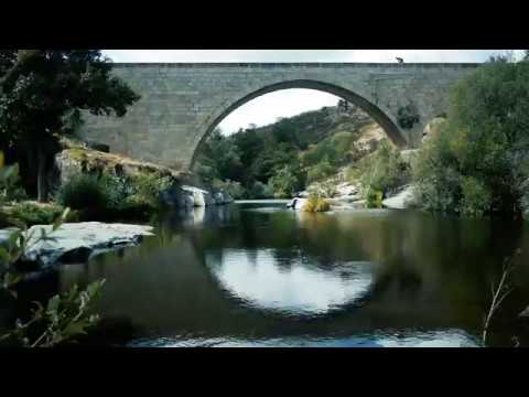 STEVENS Ventoux Disc