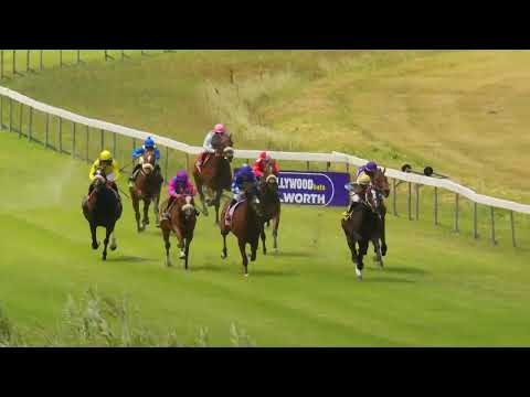 CAPTAIN’S RANSOM - RACE 3 #HollywoodBetsKenilworth 16-11-2022