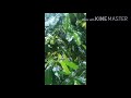 Rainy Season WhatsApp Status Of Rainy Season