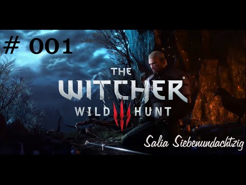 Traumhaftes Training // Let's Play The Witcher 3 #001