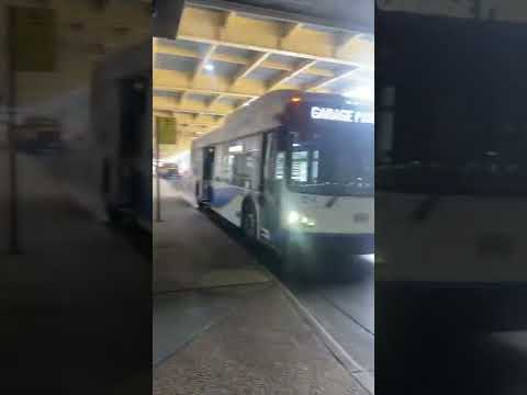 Como encontrar o ônibus do aeroporto 🚎 @DCA Car Rental Facility Coleta/entrega remota 🚚 Processo ✈️