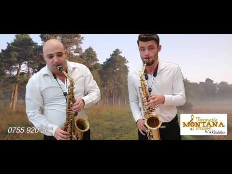 🔊 F. MONTANA - Instrumental ,,Tara Fagarasului,, 2021 ❗️❗️❗️