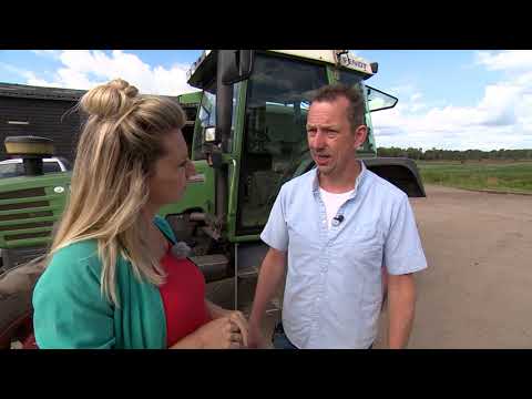 Waarom een akkerbouwer meerdere gewassen heeft - De Boer Is Troef