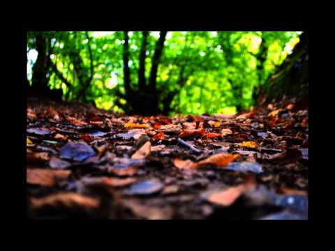 Com  Remeti Jud  Maramures