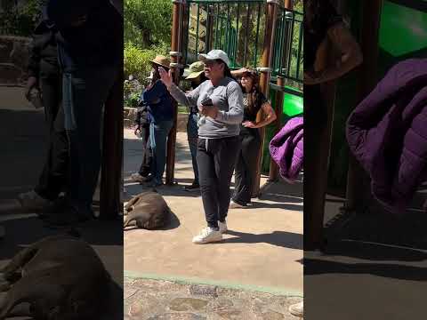 Reclamos de vecinos del pueblo de Purmamarca 