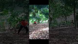 Download lagu Jurus langkah seribu #kolosal mp3