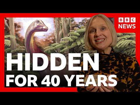 南極首個恐龍化石在抽屜裡被發現！| BBC News (Antarctica’s first dinosaur fossil found in a drawer | BBC News)