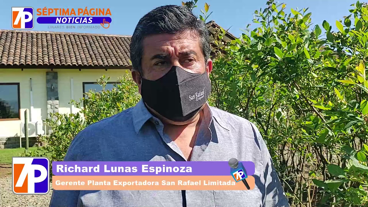 (VIDEO) Richard Lunas, gerente de Exportadora San Rafael: “Nuestros operarios pueden obtener una renta entre 650 mil y 1 200 000 pesos mensuales líquido en la cosecha de arándanos”