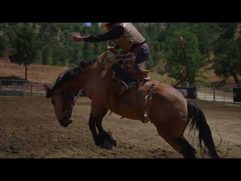 Bronc Riding School Day 1 Film Study