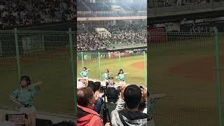 【TeamTaiwan】#黃潮降臨 #衣宸 #包子 #禹菡 #冬季聯盟@斗六棒球場 20241130 #台湾チア #啦啦隊  #cheerdance #cheerleader #cpbl #awb