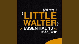 Everybody Needs Somebody