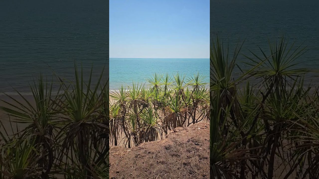 YouTube Short thumbnail