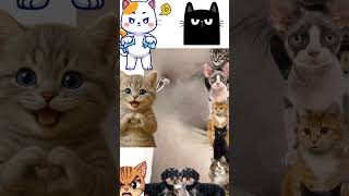 Download lagu Very big OMG? 🤢 mp3