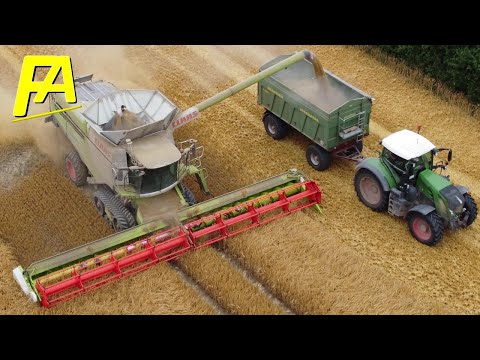 🚜 Mähdrescher CLAAS LEXION 770 Terra Trac Getreideernte Gerste dreschen XXL Drescher im Ernteeinsatz