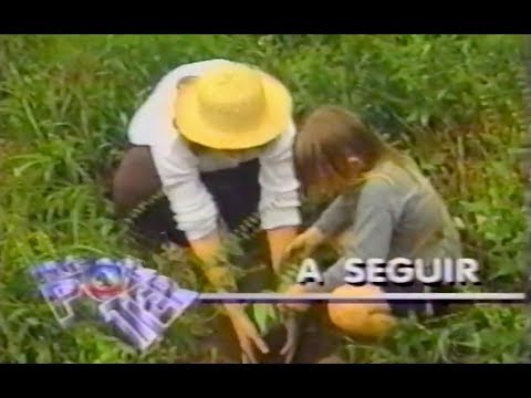 Apremavi no Globo Repórter | 1998