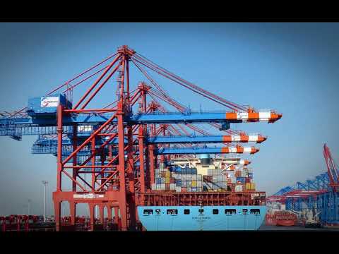 Milei anunció la reglamentación del RIMI