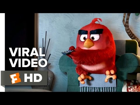 The Angry Birds Movie VIRAL VIDEO - AMC Video (2016) - Animated Movie HD