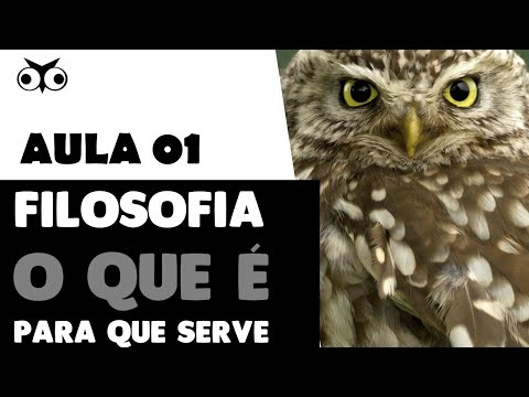 Filosofia: o que é e para que serve | Introdução Geral à Filosofia | Prof. Vitor Lima | Aula 01