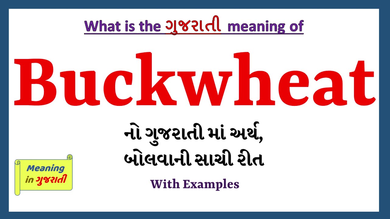 Buckwheat Meaning in Gujarati | Buckwheat નો અર્થ શું છે | Buckwheat in Gujarati Dictionary |