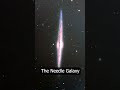What YOU can SEE with a $700,000 Telescope 🤩🔭