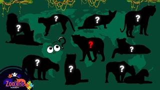Apprendre des noms et regarder des vidéos de Félins pour les enfants - Animal Puzzle gameplay video by megregoire, 10:53 duration