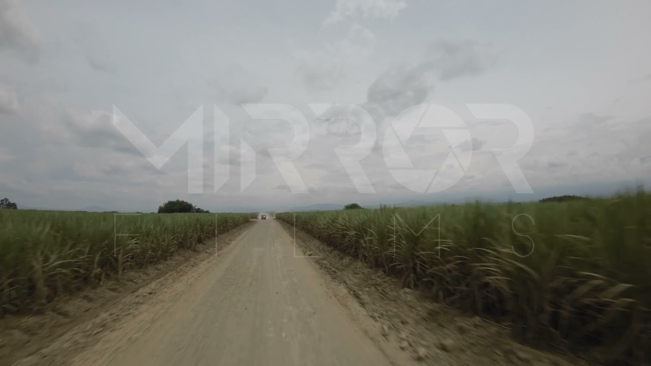 Cultivo de Caña FPV P8