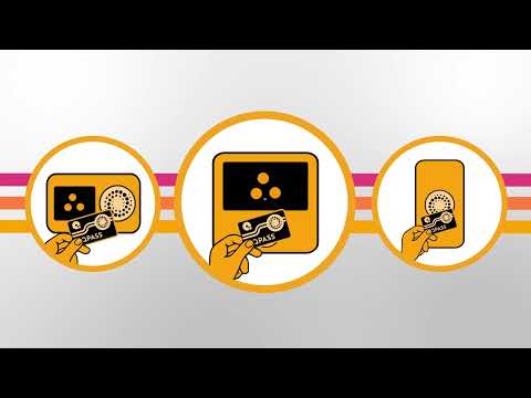 QDOT QPASS | Meow Wolf Denver