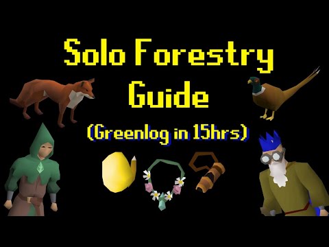 Solo Forestry Guide! (Greenlog in ~15 Hours)
