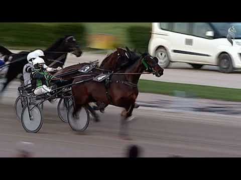 Aversa trotto 14 Gennaio 2023 - 7° Corsa