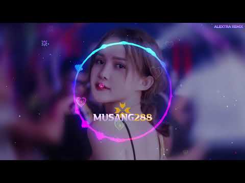 Nonstop _ Manyao Mix 2024 若月亮没来 x 其实都没有 x 姑娘别哭泣 x 全中文舞曲