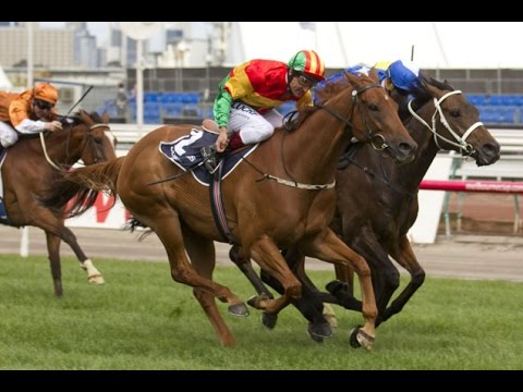 MACKINNON STAKES-1 NOV FLEMINGTON