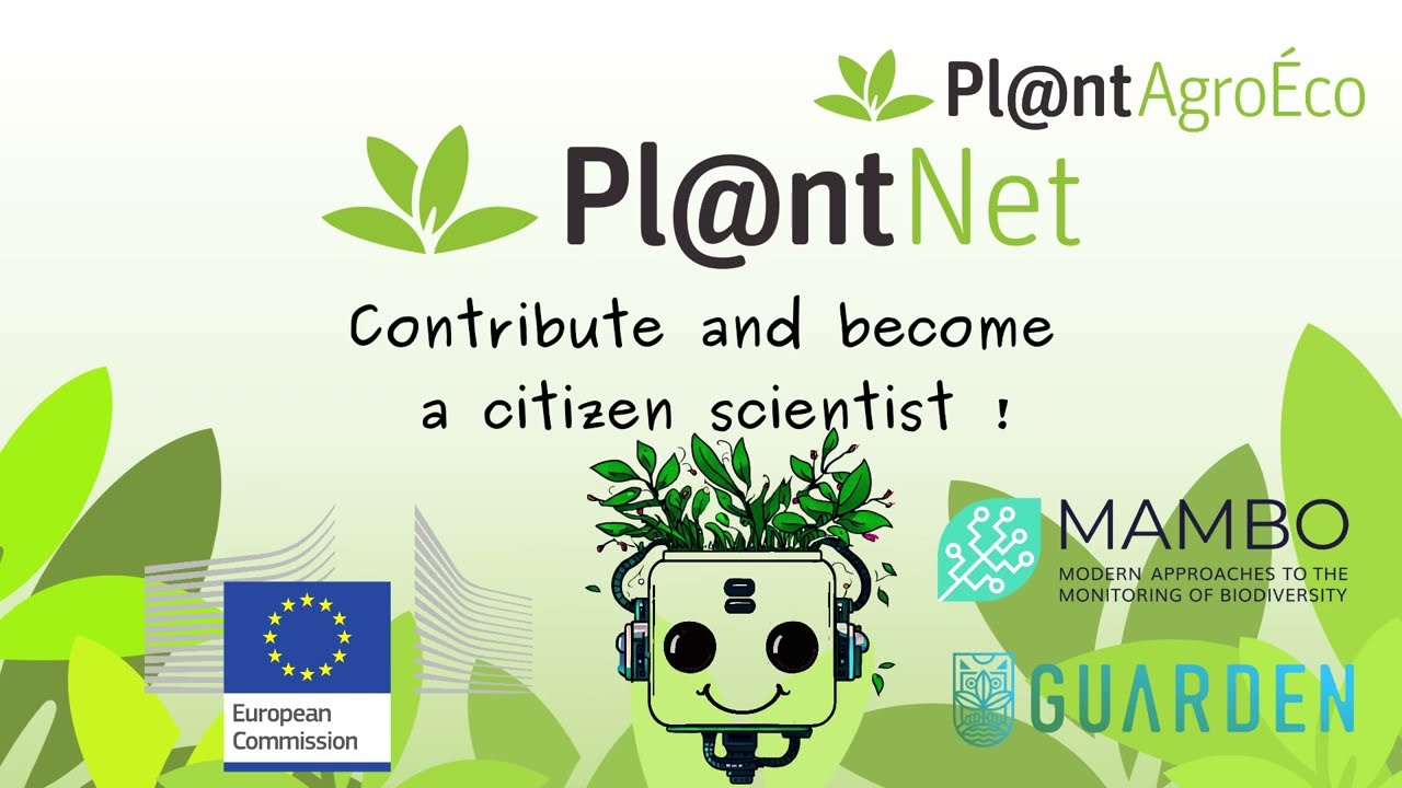 Pl@ntNet video 1
