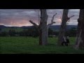 Little May - Boardwalks (Official Video) 