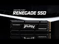 Pevný disk interní Kingston FURY Renegade 4TB, SFYRDK/4000G