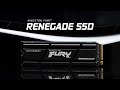 Kingston SSD FURY Renegade M.2 2280 NVMe 1000 GB  Heatsink