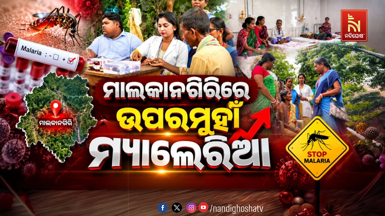 🔴Live | ମାଲକାନଗିରିରେ ଉପରମୁହାଁ ମ୍ୟାଲେରିଆ