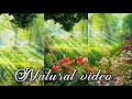Fullscreen Nature Status Fullscreen Status Fullscreen Whatsapp Status Beautiful Place Short
