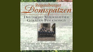 Kommt ein Vogel geflogen